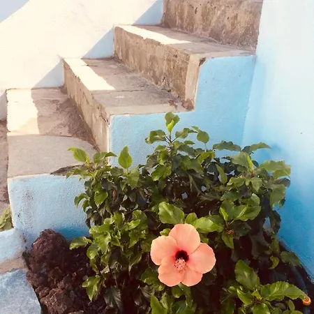 With 2 Bedrooms In Puerto De La Cruz With Wonderful Sea View Enclosed Garden And Wifi *