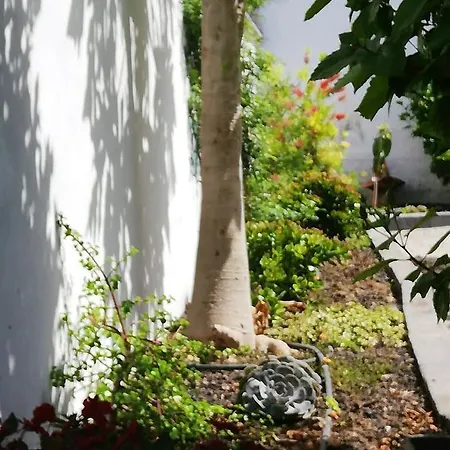 With 2 Bedrooms In Puerto De La Cruz With Wonderful Sea View Enclosed Garden And Wifi