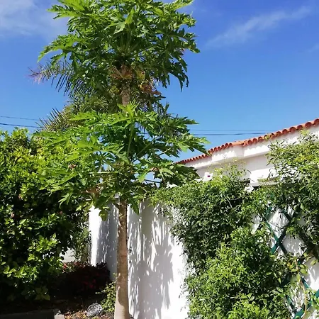 With 2 Bedrooms In Puerto De La Cruz With Wonderful Sea View Enclosed Garden And Wifi Appartamento